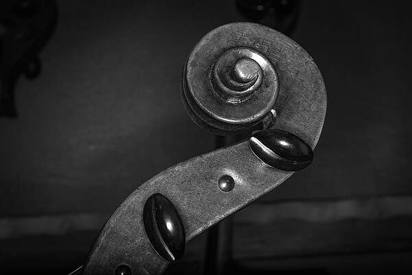 Musician Wall Art featuring the photograph Strings Series 43 by David Morefield