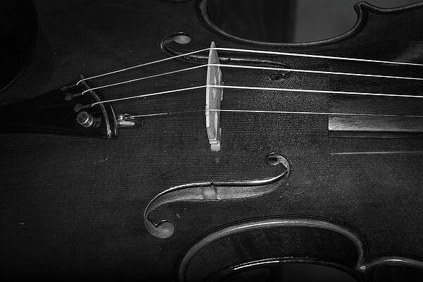 Musician Wall Art featuring the photograph Strings Series 47 by David Morefield