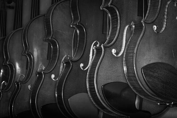 Musician Wall Art featuring the photograph Strings Series 51 by David Morefield