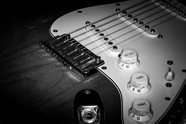 Musician Wall Art featuring the photograph Strings Series 7 by David Morefield