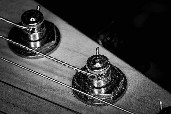 Musician Wall Art featuring the photograph Strings Series 9 by David Morefield