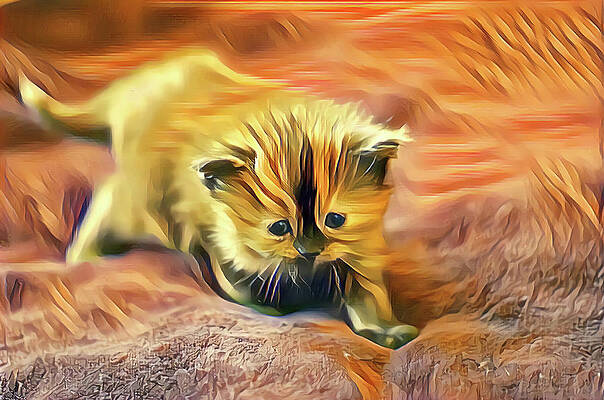 Happy Digital Art - Striped Forehead Kitten by Don Northup