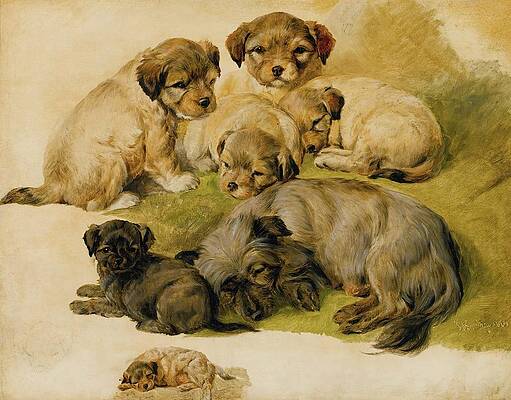 Dog Painting - Study Of A Terrier And Puppies by Circle Of Sir Edwin Henry Landseer