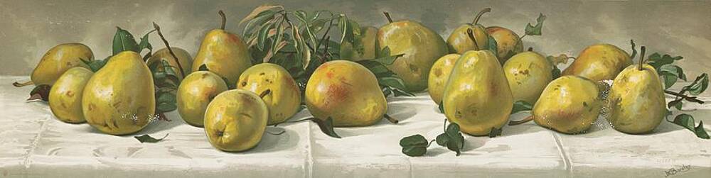 Yellow Wall Art featuring the painting Study Of Pears by J. E. Barclay