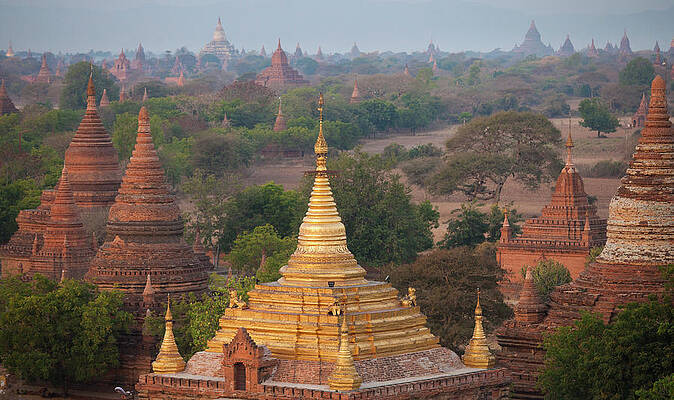 Golden Pagodas in Bagan Wall Art