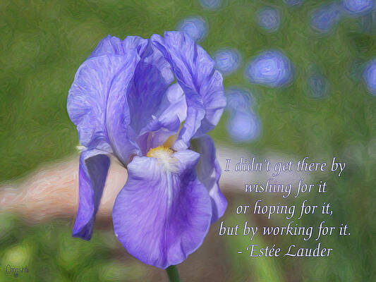 Spring Mixed Media - Success Starts Here - Motivational Nature Art By Omaste Witkowski by Omaste Witkowski