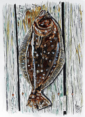 Summer Flounder Print