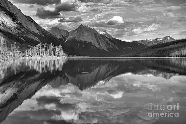 Wall Art featuring the photograph Sun On The Trees At Medicine Lake Black And White by Adam Jewell