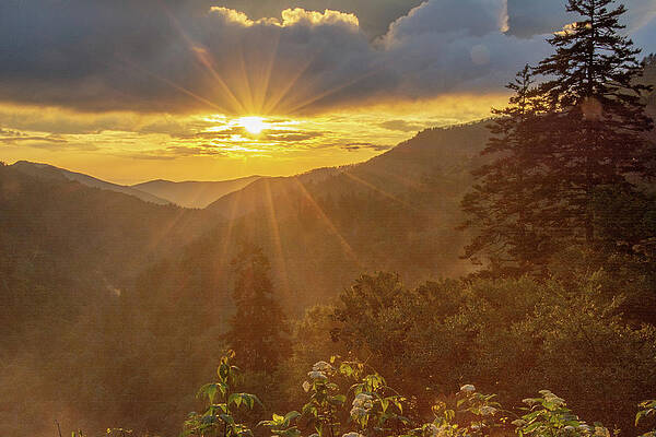 Tennessee Wall Art featuring the photograph Sunburst And Mist Over Morton Overlook by Douglas Wielfaert