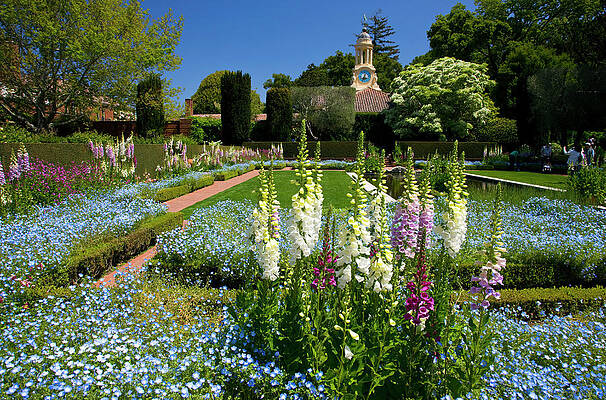 U S Wall Art featuring the digital art Sunken Garden by Hp Huber