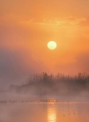 Atmospheric Wall Art featuring the digital art Sunrise In Danube Auen National Park by Rainer Mirau