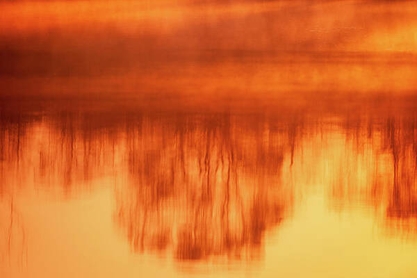Wall Art featuring the photograph Sunrise Reflections by Jeff Phillippi