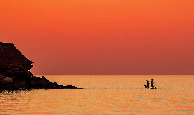 Sunset Photograph - Sunset, Ocean, Paddle Boards, And Dogs by Marcy Wielfaert