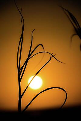 Moody Wall Art featuring the photograph Sunset On Caribbean by Robert Grac