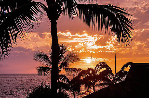 Island Wall Art featuring the photograph Sunset Over Keauhou Bay by Dawn Richards
