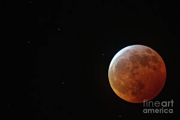 Winter Photograph - Super Blood Wolf Moon 2019 by Natural Focal Point Photography