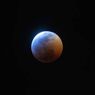Photograph - Super Blue Blood Moon 2018 by Rebecca Herranen