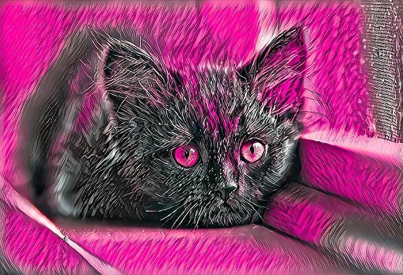 Happy Digital Art - Super Cool Black Cat Pink Eyes by Don Northup