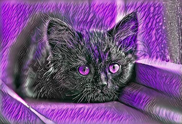Happy Digital Art - Super Cool Black Cat Purple Eyes by Don Northup