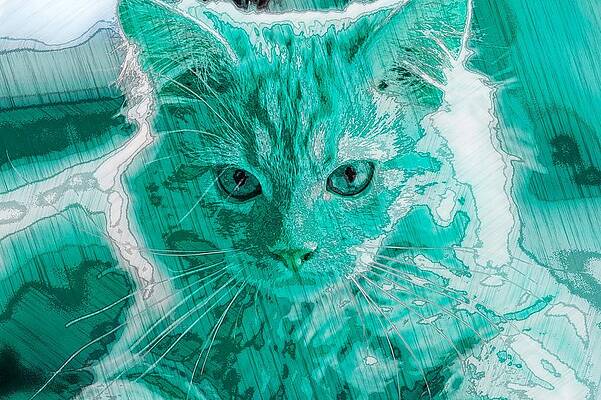 Happy Digital Art - Super Duper Artistic Cat Blue by Don Northup