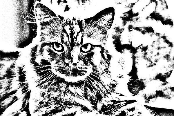 Happy Digital Art - Super Duper Cat Drawing by Don Northup