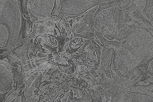 Happy Digital Art - Super Duper Cat Embossed Black by Don Northup