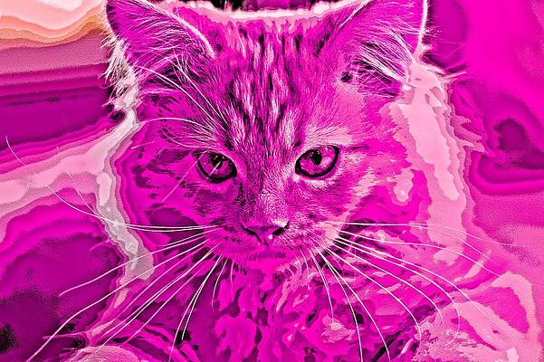 Happy Digital Art - Super Duper Cat Mixed Media Pink by Don Northup