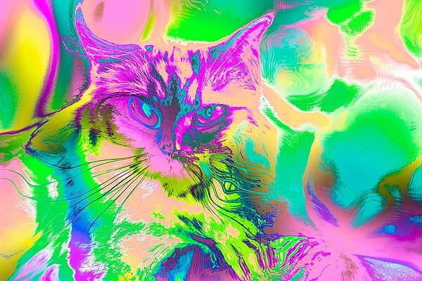 Happy Digital Art - Super Duper Cat Psychedelic Pink by Don Northup