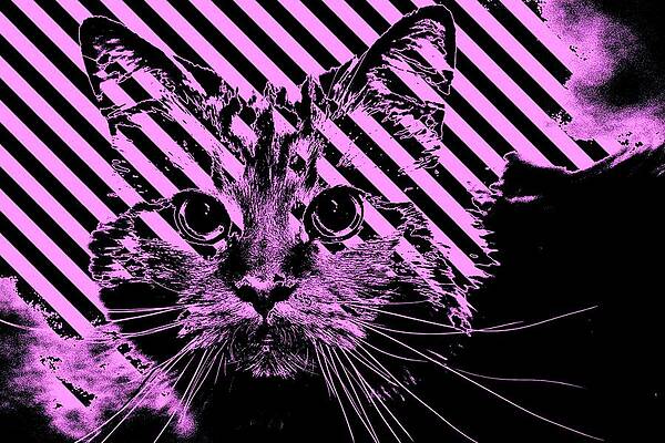 Happy Digital Art - Super Duper Cat Warning Purple by Don Northup