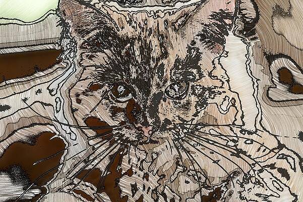Happy Digital Art - Super Duper Coll Cat Sketch 1 by Don Northup