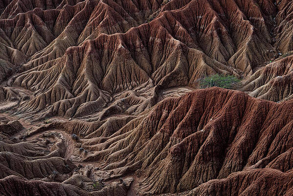 Surreal Landscape At Tatacoa Desert Desierto De La Tatacoa, Township Villavieja Nearby Neiva, Departmento Huila, Colombia, Southamerica Print