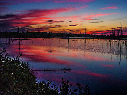 Sky Wall Art featuring the photograph Sunset In The Pines Lands by Louis Dallara