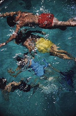 Colorful Swimmers in Pool Wall Art
