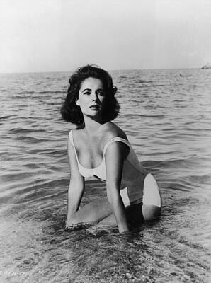 Wall Art featuring the photograph Taylor In Surf by Hulton Archive