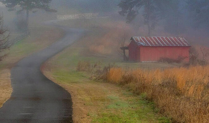 Tennessee Photograph - Tennessee Foggy Morn by Marcy Wielfaert
