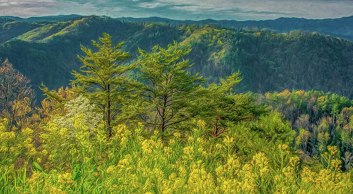 Vibrant Wall Art featuring the photograph Tennessee Foothills Spring Morning by Marcy Wielfaert