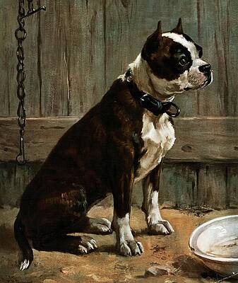 Dog Painting - Terrier Seated by Frances Townsend