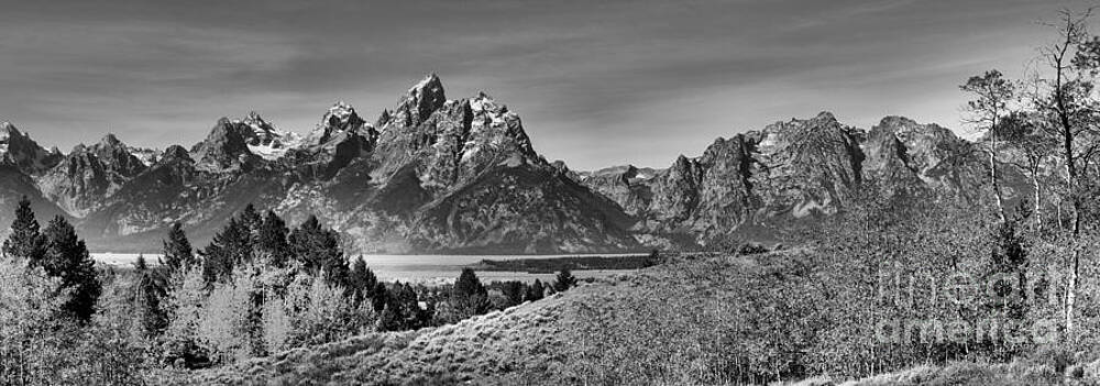 Wall Art featuring the photograph Teton Aspen Gold Panorama Black And White by Adam Jewell