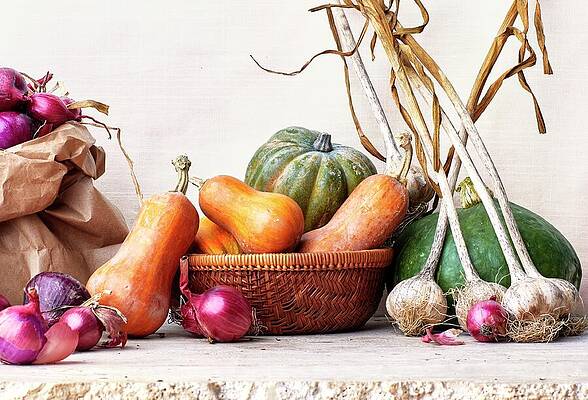 Sea Life Wall Art featuring the digital art Thanksgiving Ingredients by Emma Fishman