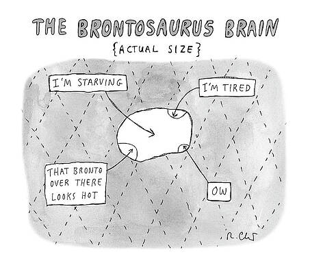The Brontosaurus Brain Diagram Drawing