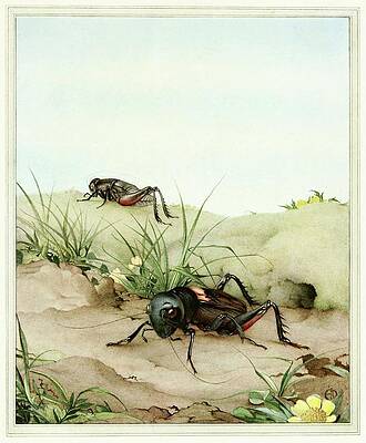 Insects Painting - The Field Cricket by Edward Julius Detmold