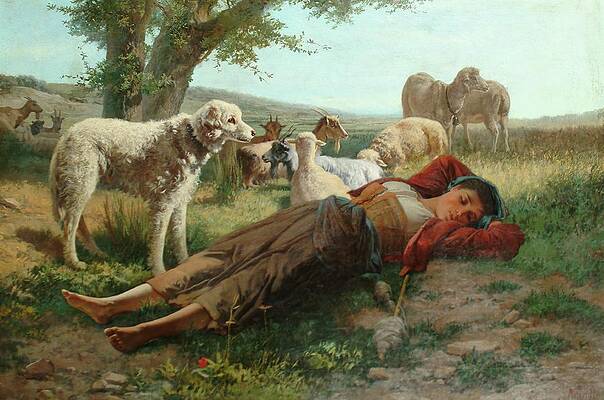 Flock Painting - The Goatherders Siesta by Carlo Ademollo