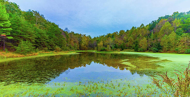 Green Wall Art featuring the photograph The Green Lake Day by Jonny D