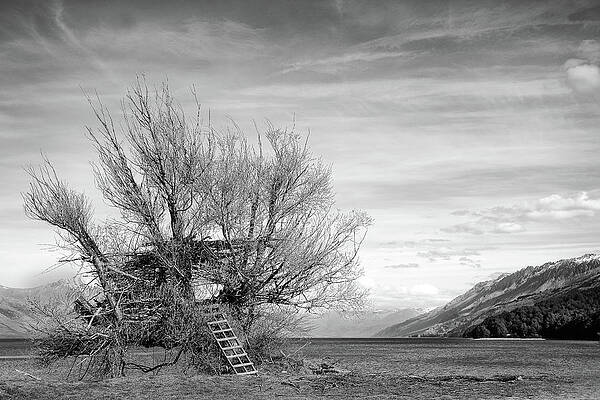 Mountain Wall Art featuring the photograph The Kinloch Tree House by Monamifoto