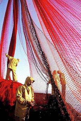 Wall Art featuring the photograph The Mediterranean Tuna Fishing - by Patrick Box