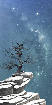 Lonely Tree Under Starry Sky Wall Art