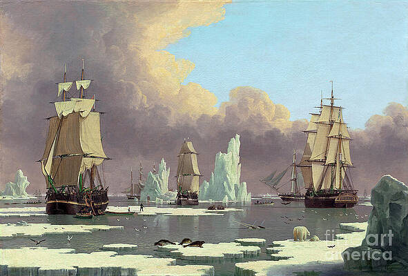 Whaling Paintings for Sale by Bridgeman Images