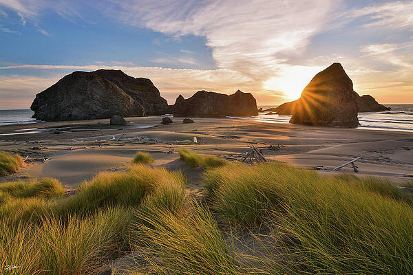 Sunset at the Oregon Coast Wall Art