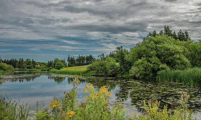 Serene Photograph - The Pond At The End Of Clark's Lane by Marcy Wielfaert
