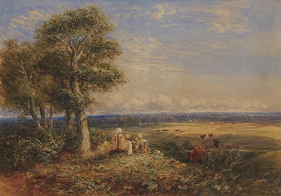 David Cox Painting - The Skylark by David Cox